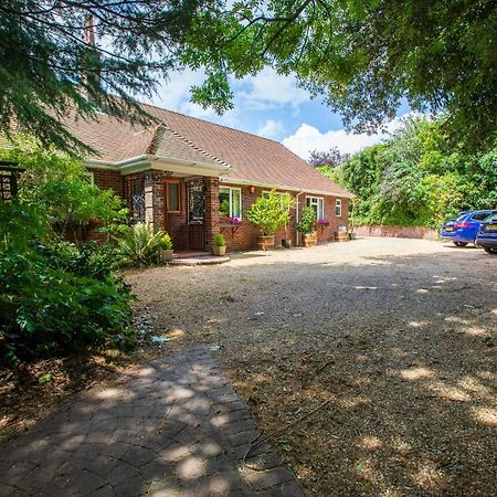 Cosy Annex, Close To Beach With Parking Torquay Exteriör bild