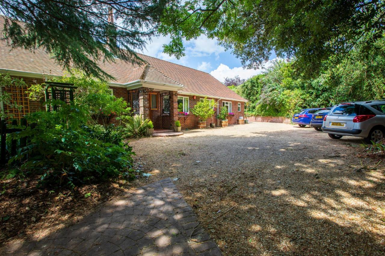 Cosy Annex, Close To Beach With Parking Torquay Exteriör bild
